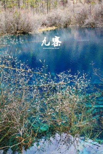 帝国：全面战争
