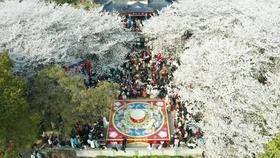 黑龙江省文旅厅发布新年感谢信:2023年实现旅游收入2215.3亿元