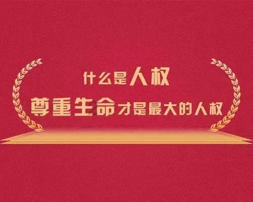 知名上市公司涉嫌重大财务造假！股价曾达299.8元，研制芯片号称“对标英伟达”！投资超10亿的项目地杂草丛生……