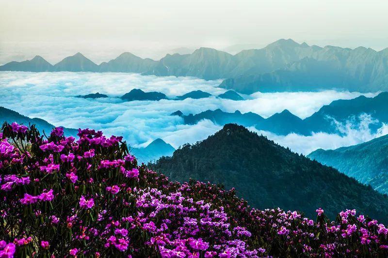 兵团榜样丨姜万富:昆仑山上的“穷多克特”